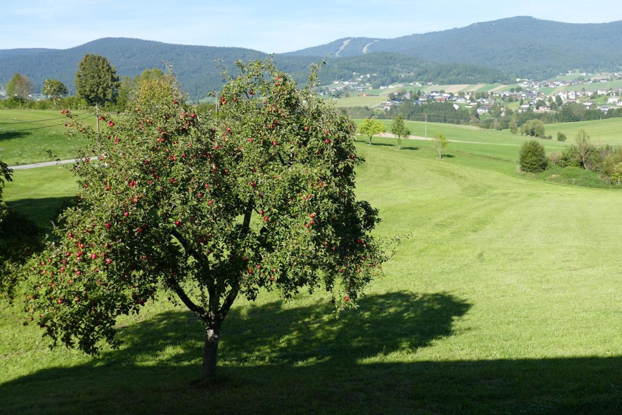 Hochfichtblick Apartments Ulrichsberg Exteriör bild