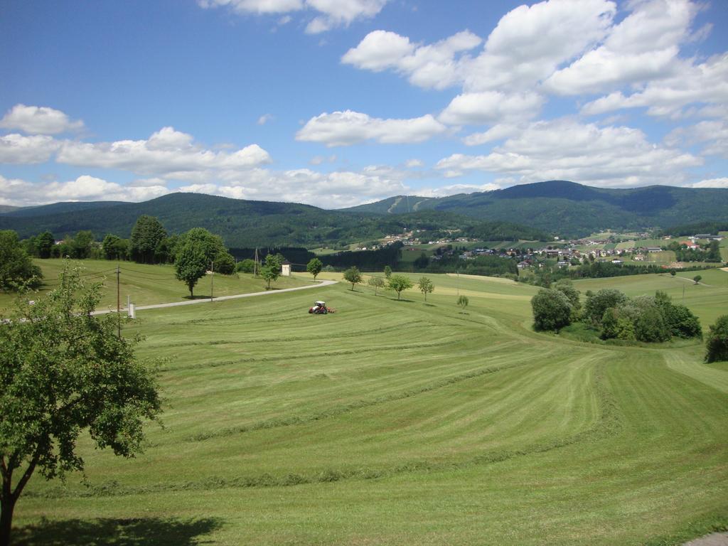 Hochfichtblick Apartments Ulrichsberg Exteriör bild